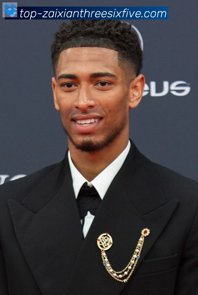维尼修斯